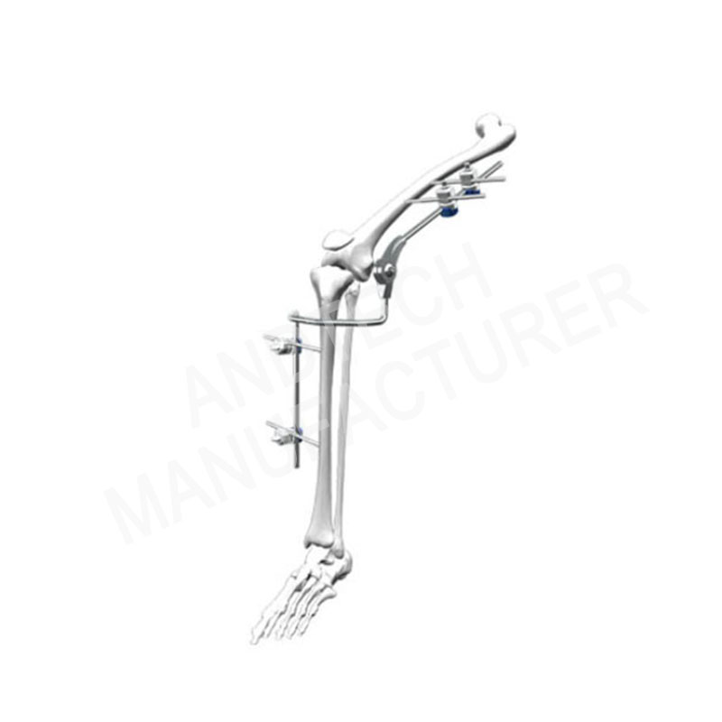 Dissection IV Φ8-Knee Joint